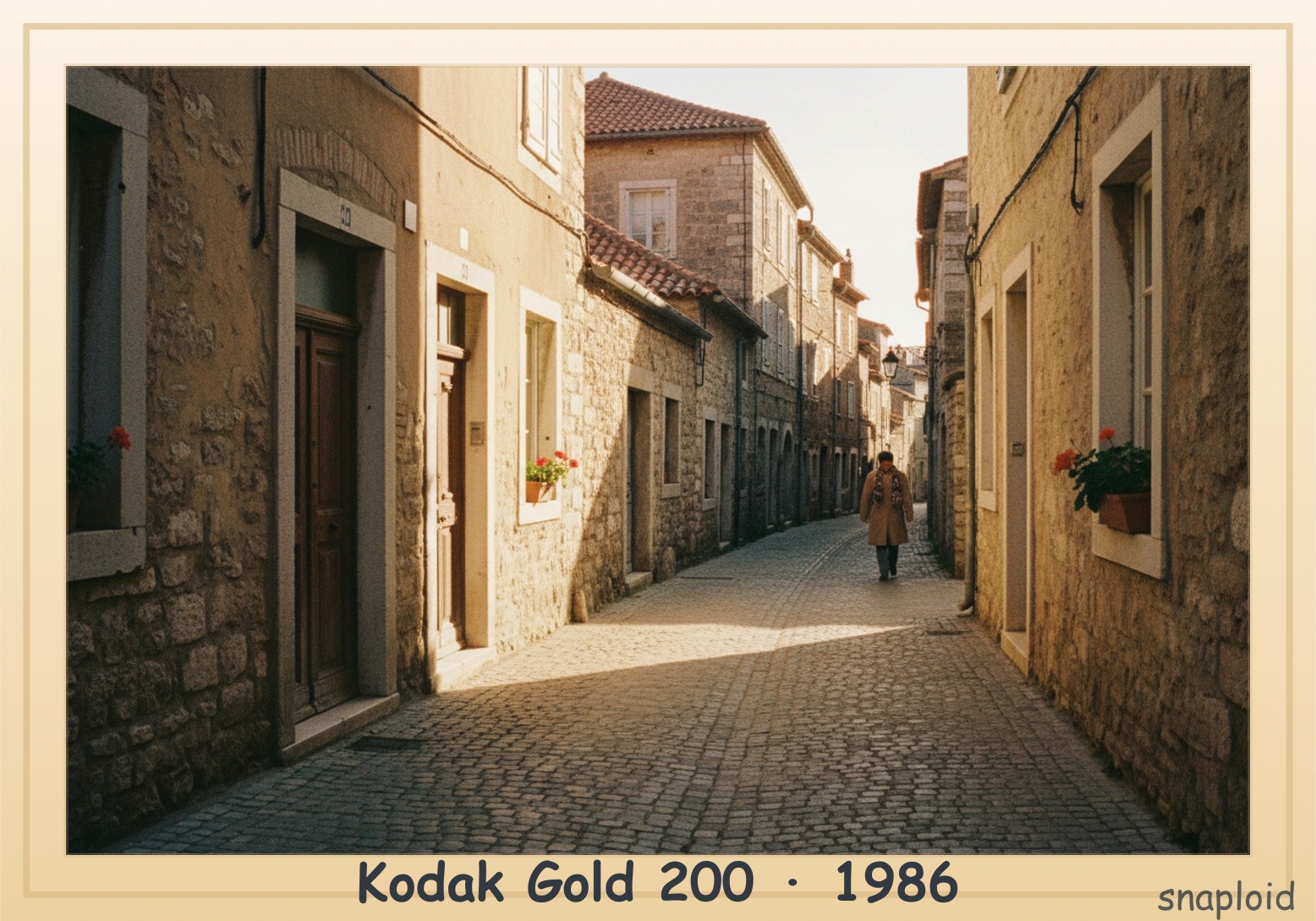 Kodak Gold 200 preview